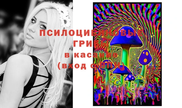 марки lsd Горно-Алтайск