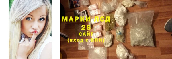 крисы Болотное