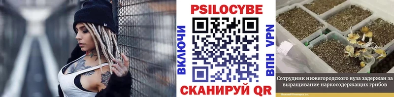 Галлюциногенные грибы GOLDEN TEACHER  купить   Ялуторовск 