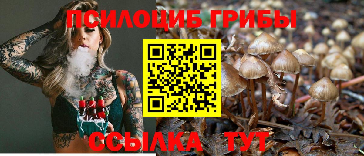Галлюциногенные грибы Psilocybine cubensis Ялуторовск